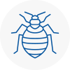 Bed Bug Extermination In Dagenham