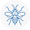 Dagenham Hornet Nest Removals