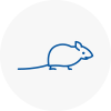 Mice Exterminators In Dagenham
