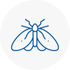 Moth Control Specialists In Dagenham