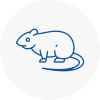 Rat Control Dagenham