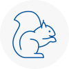 Dagenham Rodent Removals
