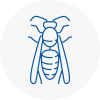 Dagenham Wasp Nest Removal